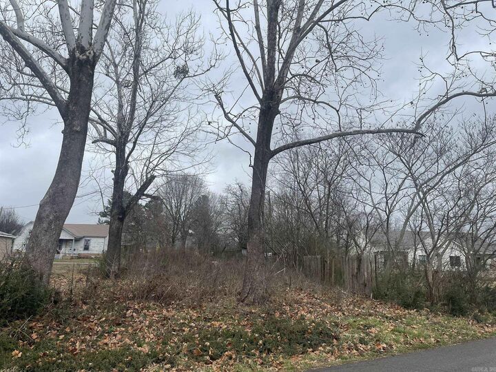 Property Photo:  906 Elm Avenue  AR 71953 