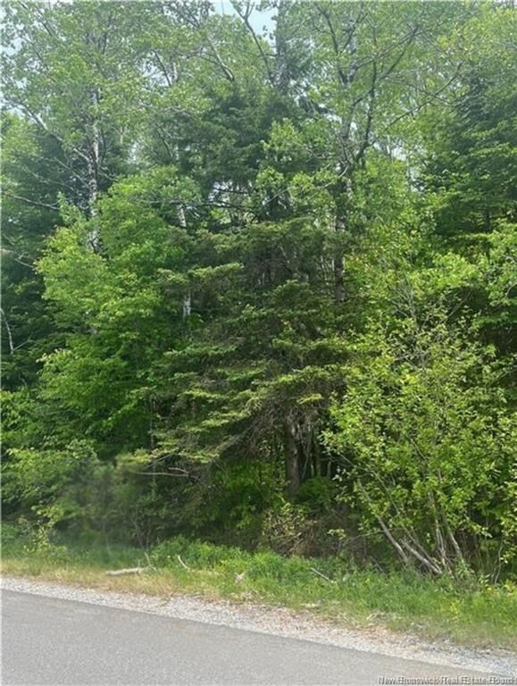 444 Bradley Lake Road — photo 1