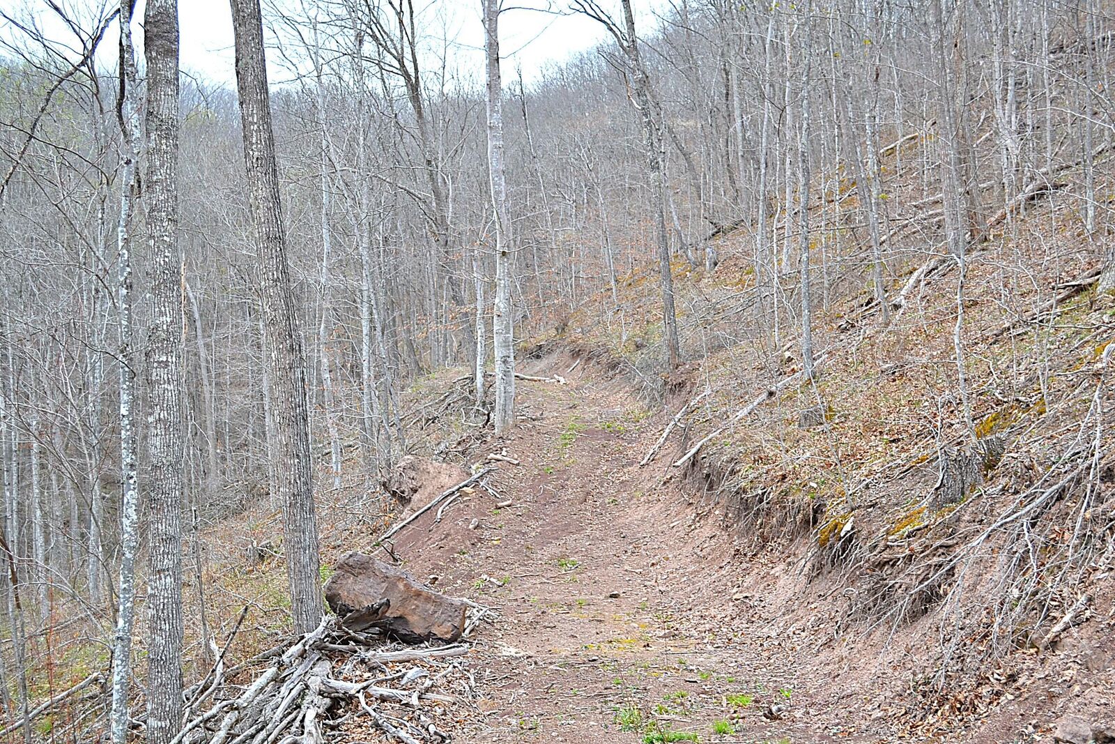 Property Photo:  Snake Run Rd  WV 24910 