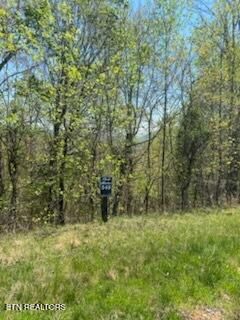 Property Photo:  Lot 548 Marble Point Way  TN 37825 
