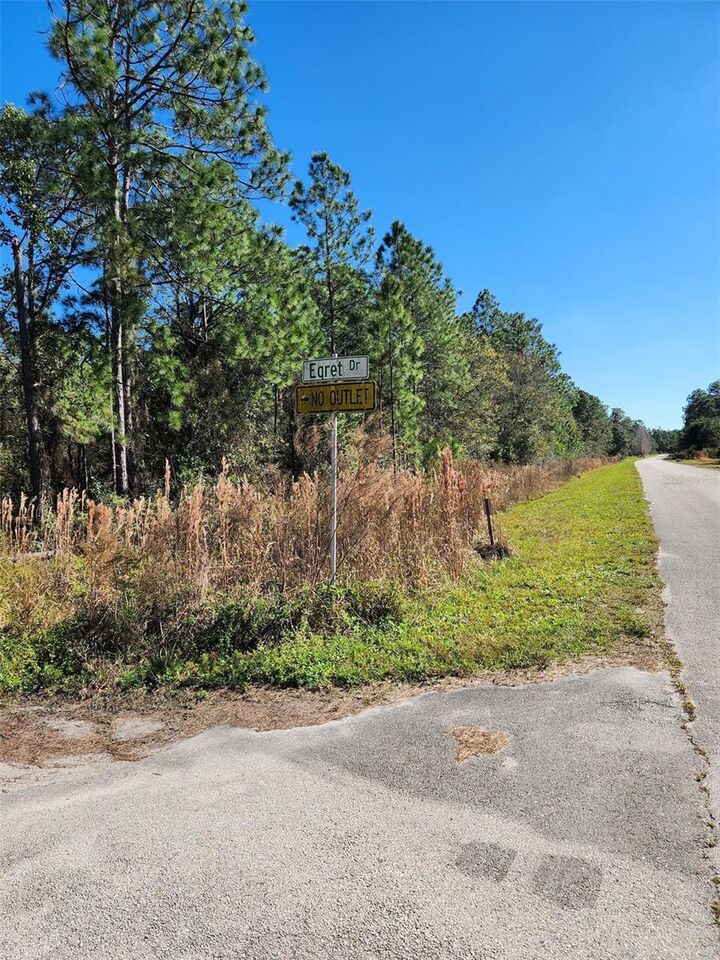 Property Photo: Egret Drive FL 33843