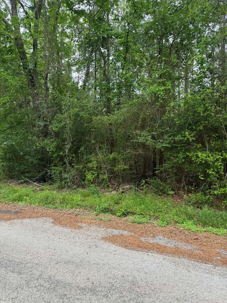 Property Photo:  Lot 5 Old Gobblers Knob Rd  TX 75901 