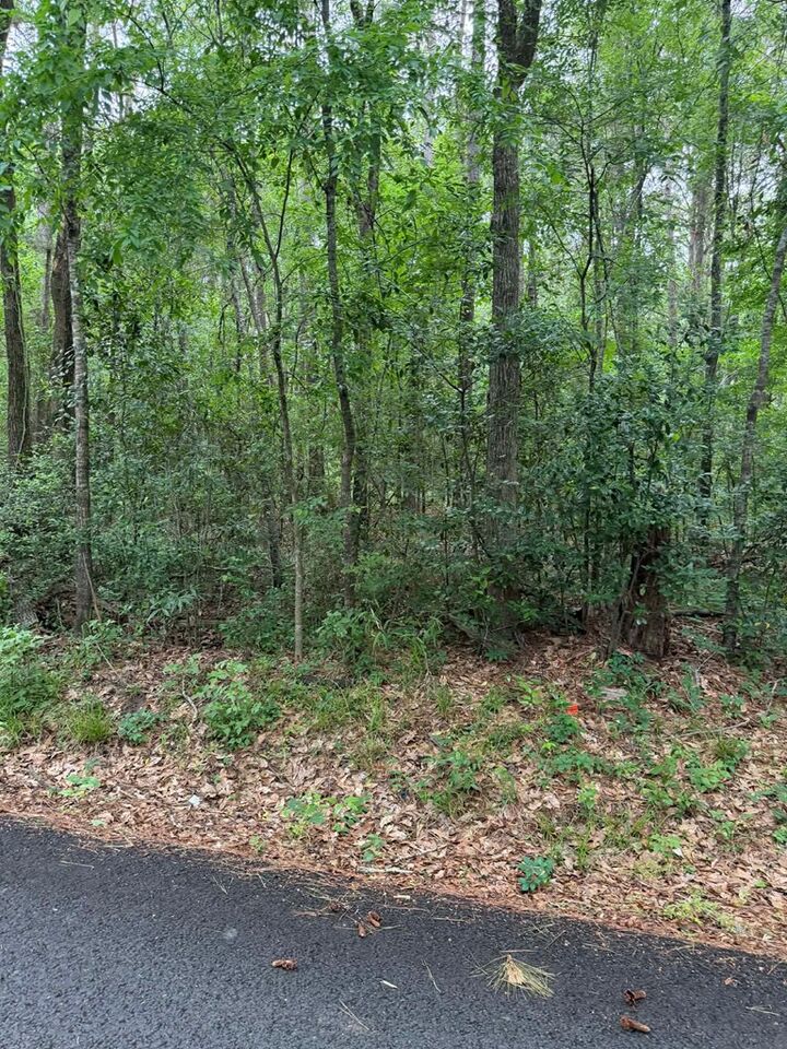 Property Photo:  Lot 2 Old Gobblers Knob Rd  TX 75901 