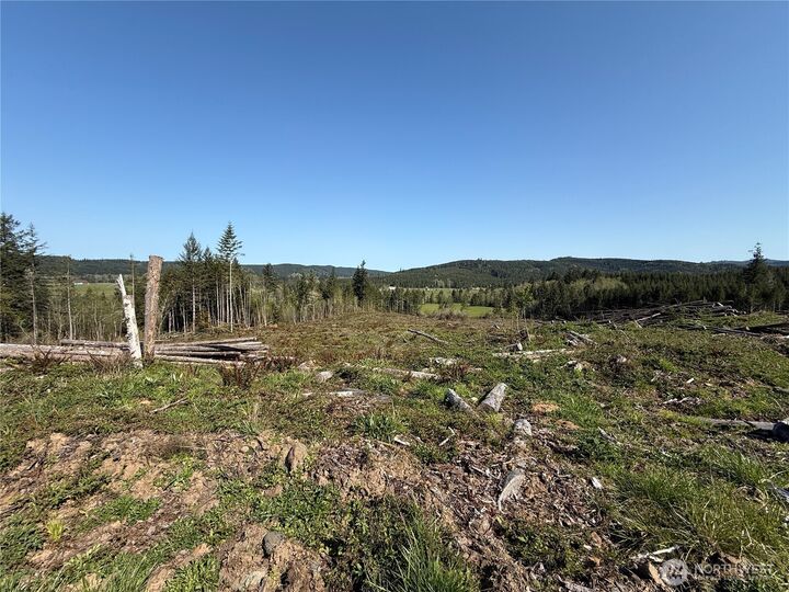 Property Photo:  4 Xx  Oppelt Road  WA 98532 