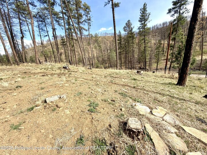 Property Photo:  100 Sonora Loop  NM 88345 