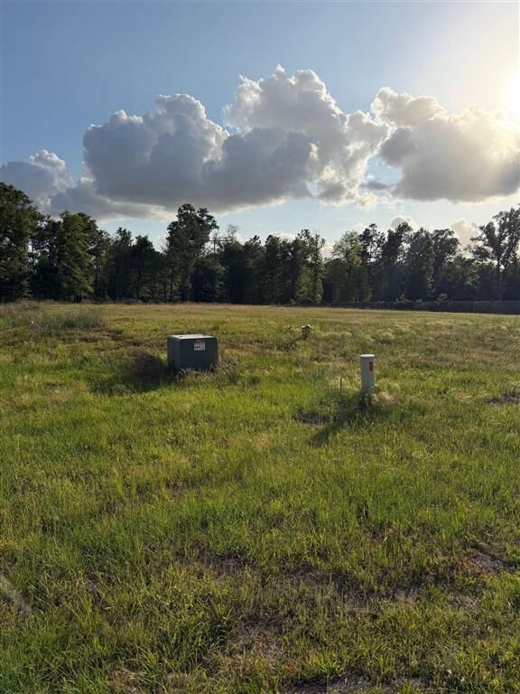 Property Photo:  2130 Rebel Loop  LA 70611 