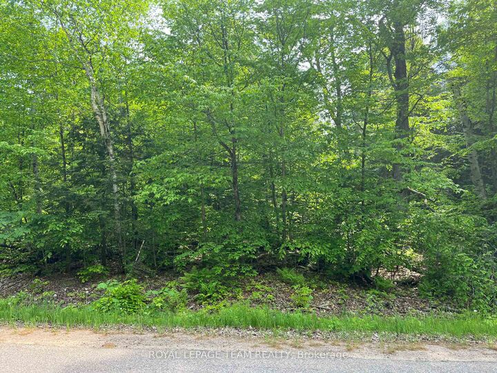 387 Sunny Hill Road — photo 1