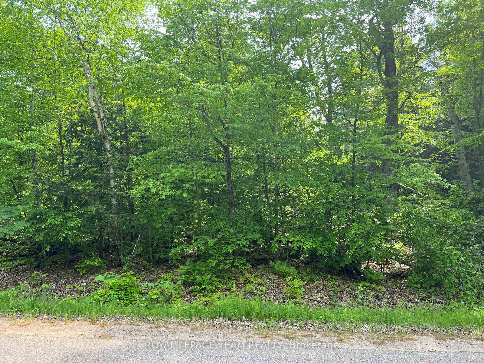 Property Photo:  387 Sunny Hill Road  ON K0J 1B0 