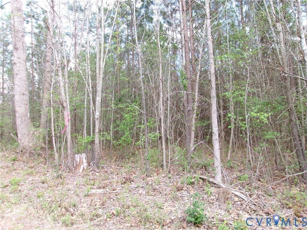 Property Photo:  69-(6)-1 Lew Jones Road  VA 23840 