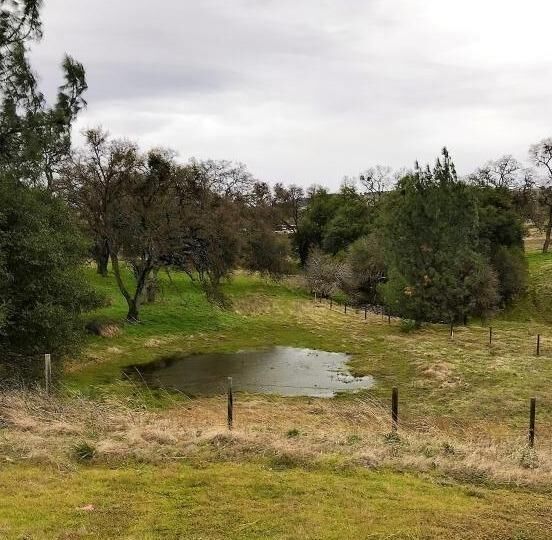 Property Photo:  0 Hwy 12  CA 95252 