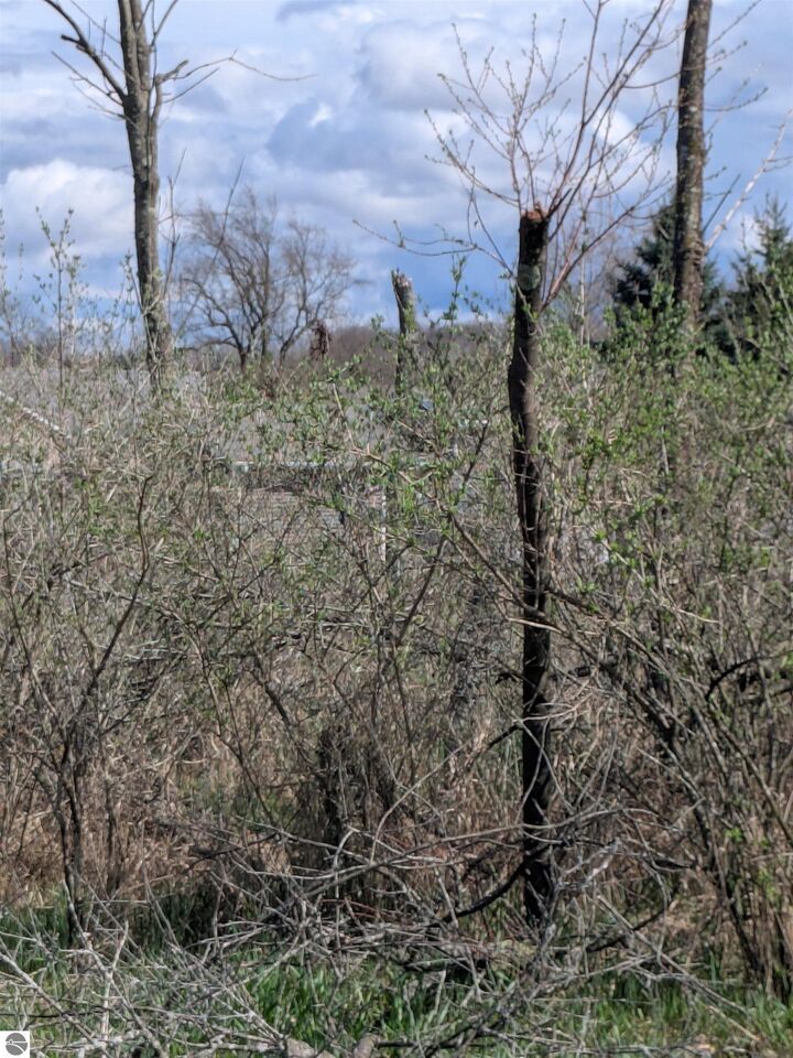 Property Photo:  1009 Kent Street  MI 48893 