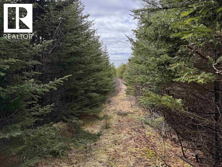 Property Photo:  7 Highway  NS B0J 2A0 