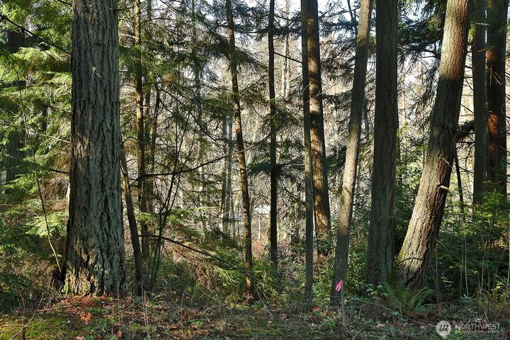 Property Photo: 6880 Holst Road WA 98236