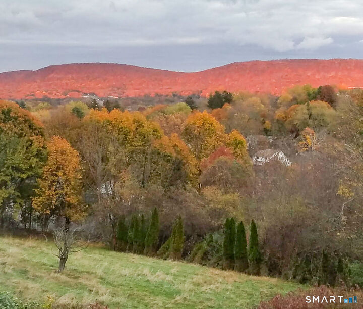Property Photo:  192 Dexter Avenue  CT 06450 