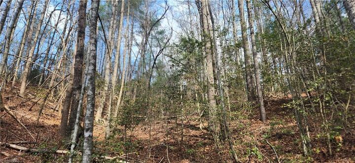 Property Photo:  Tbd Cane Creek Church Road  NC 28649 