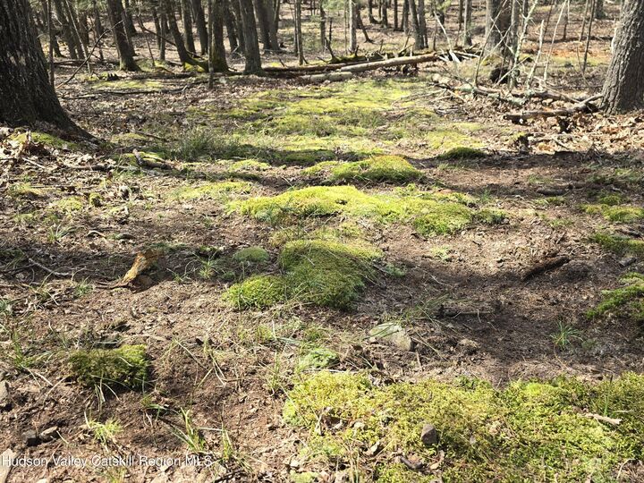 Property Photo:  Lot #5 Evergreen  NY 12477 