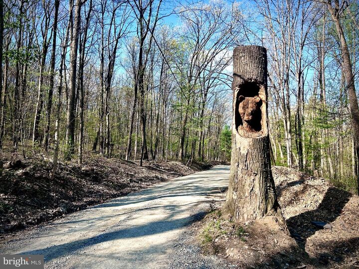 Property Photo:  0 Maryland Avenue Lot #46  PA 17304 