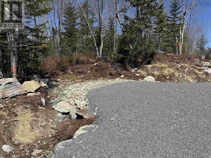 Property Photo:  Lot 8 Highway 3, Summerville Heights  NS B0T 1T0 