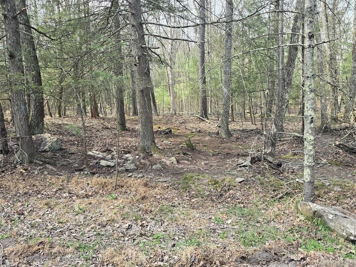 Property Photo:  Lot 5 Evergreen Drive  NY 12477 