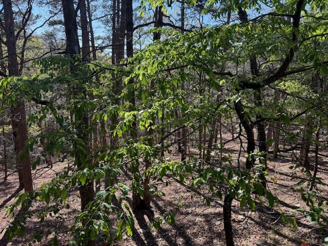 Property Photo:  40 E Mountain Drive  AR 72632 
