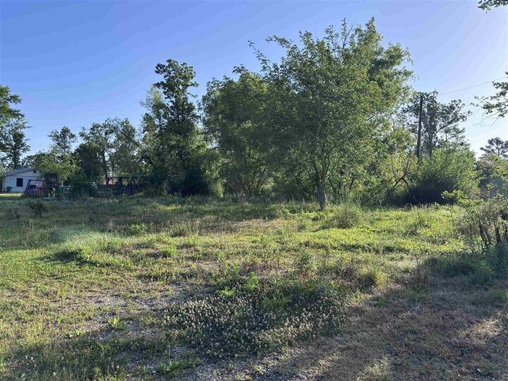 Property Photo: 182 Calcasieu Avenue LA 70611