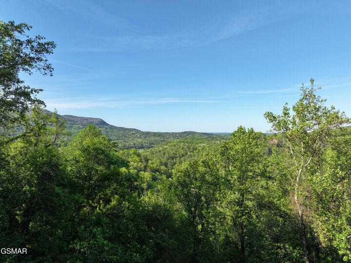 Property Photo:  Lot 13 Dove View Road  TN 37862 