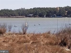 Property Photo:  Ragged Point Road  MD 21613 