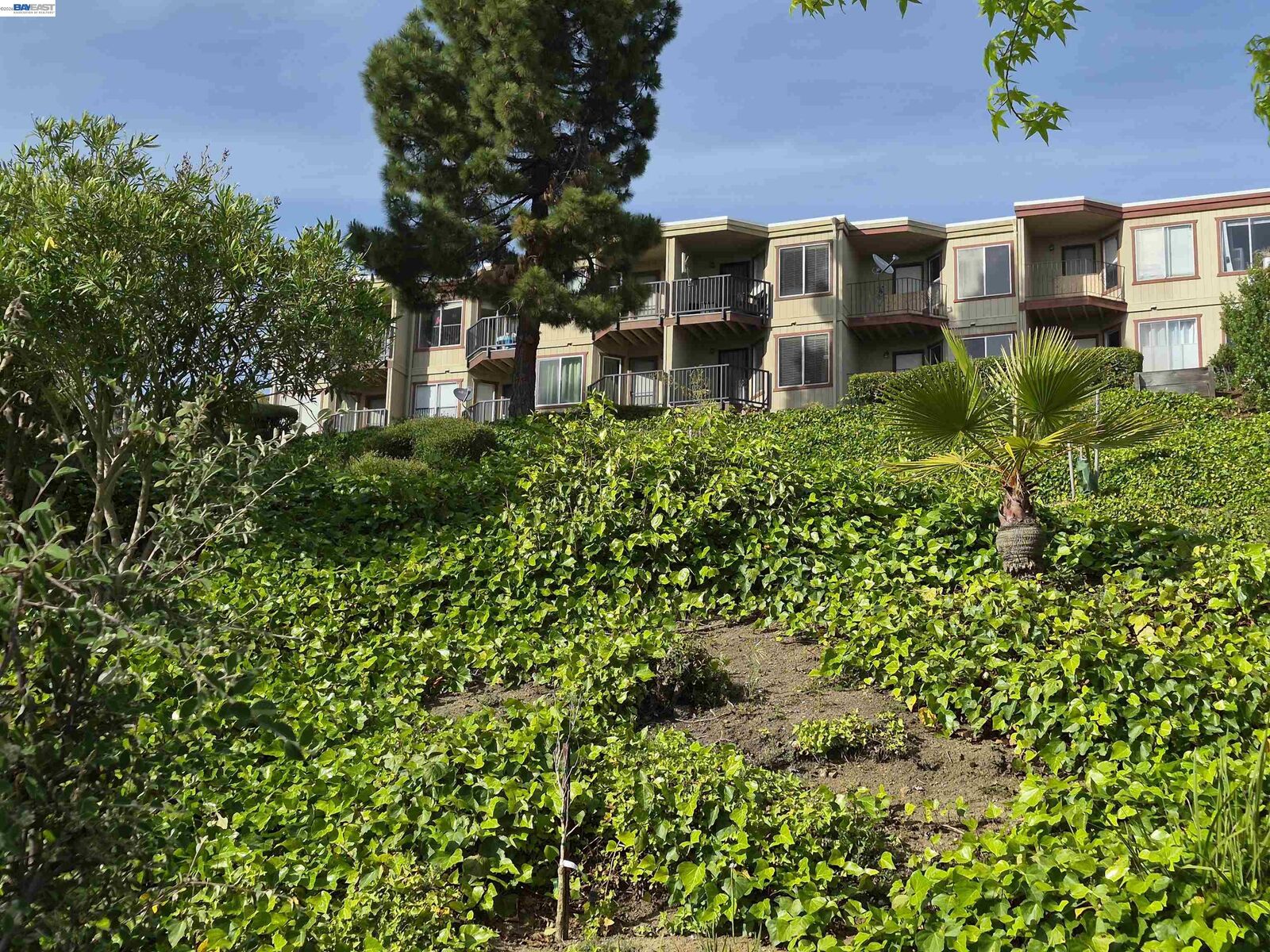 Property Photo:  20980 Birch C  CA 94541 