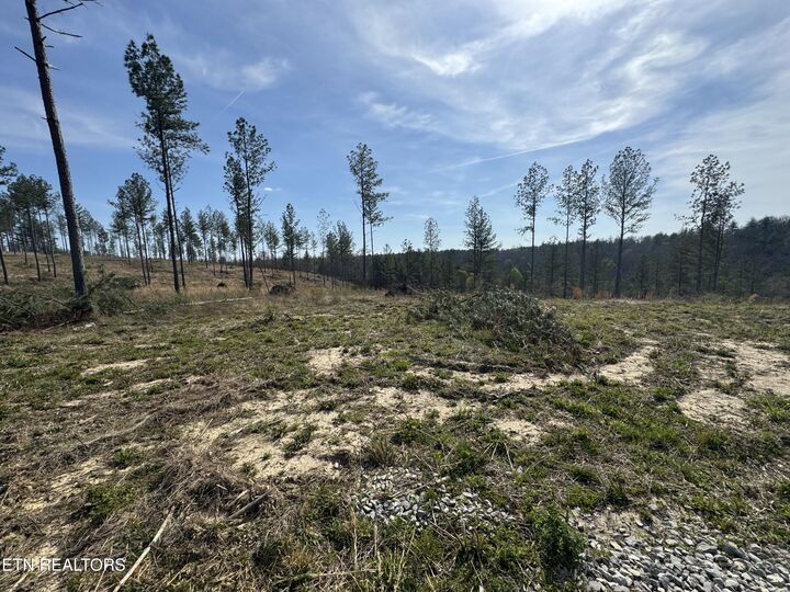 Property Photo:  0 Burrville Rd  TN 37872 