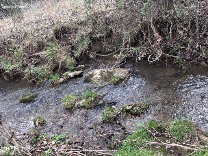 Property Photo:  2733 Shipe Rd  TN 37806 