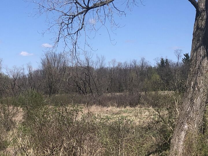 Property Photo:  W Card  MI 49274 