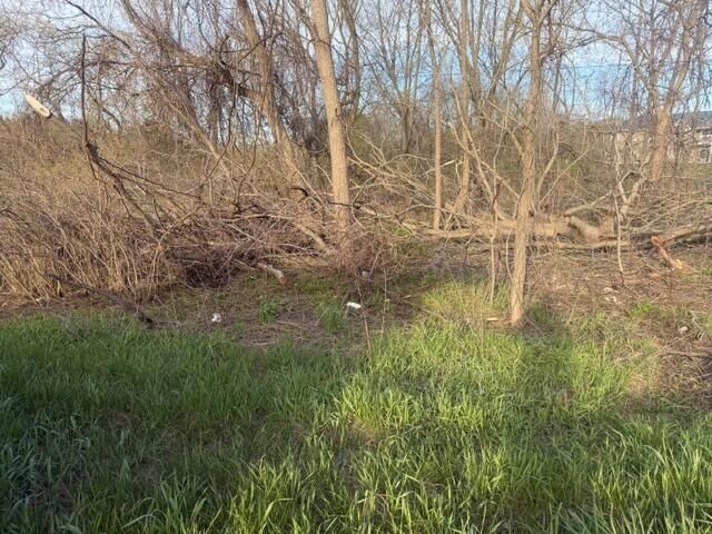 Property Photo:  0 S Mason Drive  MI 49327 