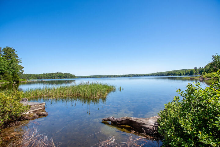 Property Photo:  535 Green Lake Road  ME 04429 