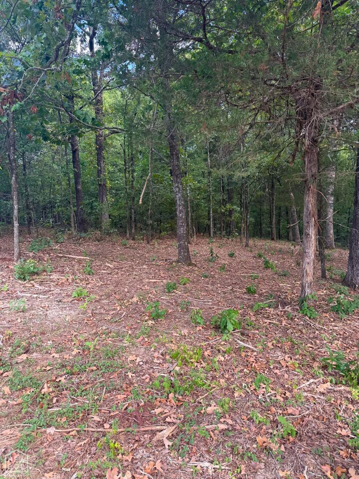 Property Photo:  809 Cr 714  AR 72401 