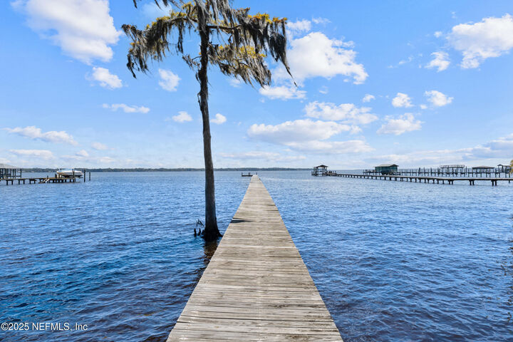 Property Photo:  686 Frederic Drive  FL 32003 