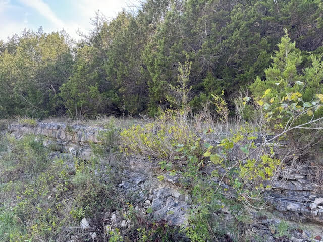 Property Photo:  268 Table Rock Drive  AR 72631 