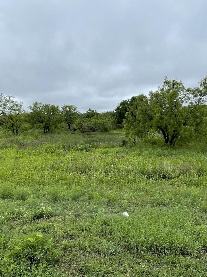 Property Photo:  517 Lake View Heroes Drive  TX 76903 