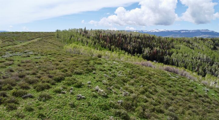 Property Photo:  Tbd Silverado Road  CO 80467 