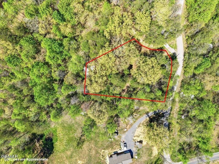 Property Photo:  0 Dark Hollow Road  TN 37722 