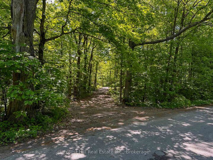 Property Photo:  1066 South Muldrew Lake Road  ON P0E 1G0 
