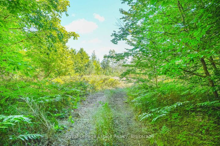 Lot 5 Sixth Street — photo 1