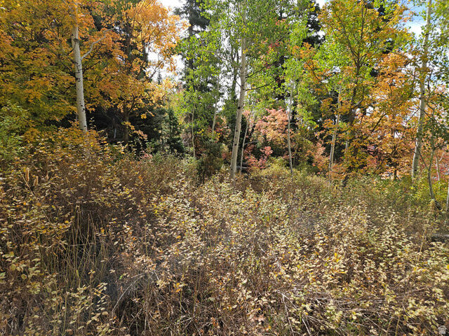 Property Photo: 28 E Deer Valley Dr S K28 UT 84629