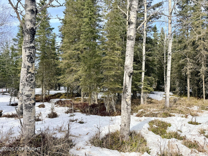 Property Photo: 23855 Herrin Circle AK 99610