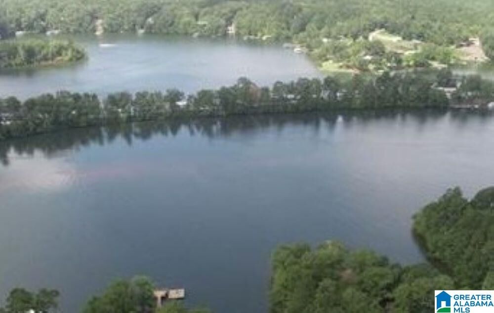Property Photo: Lot 28 Piney Woods Drive 28 AL 36278