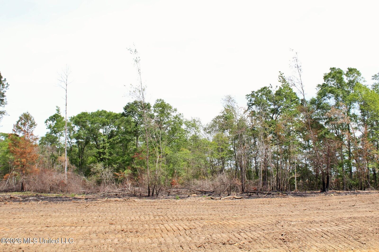 Property Photo:  3.78ac Cottonwood Drive  MS 39452 