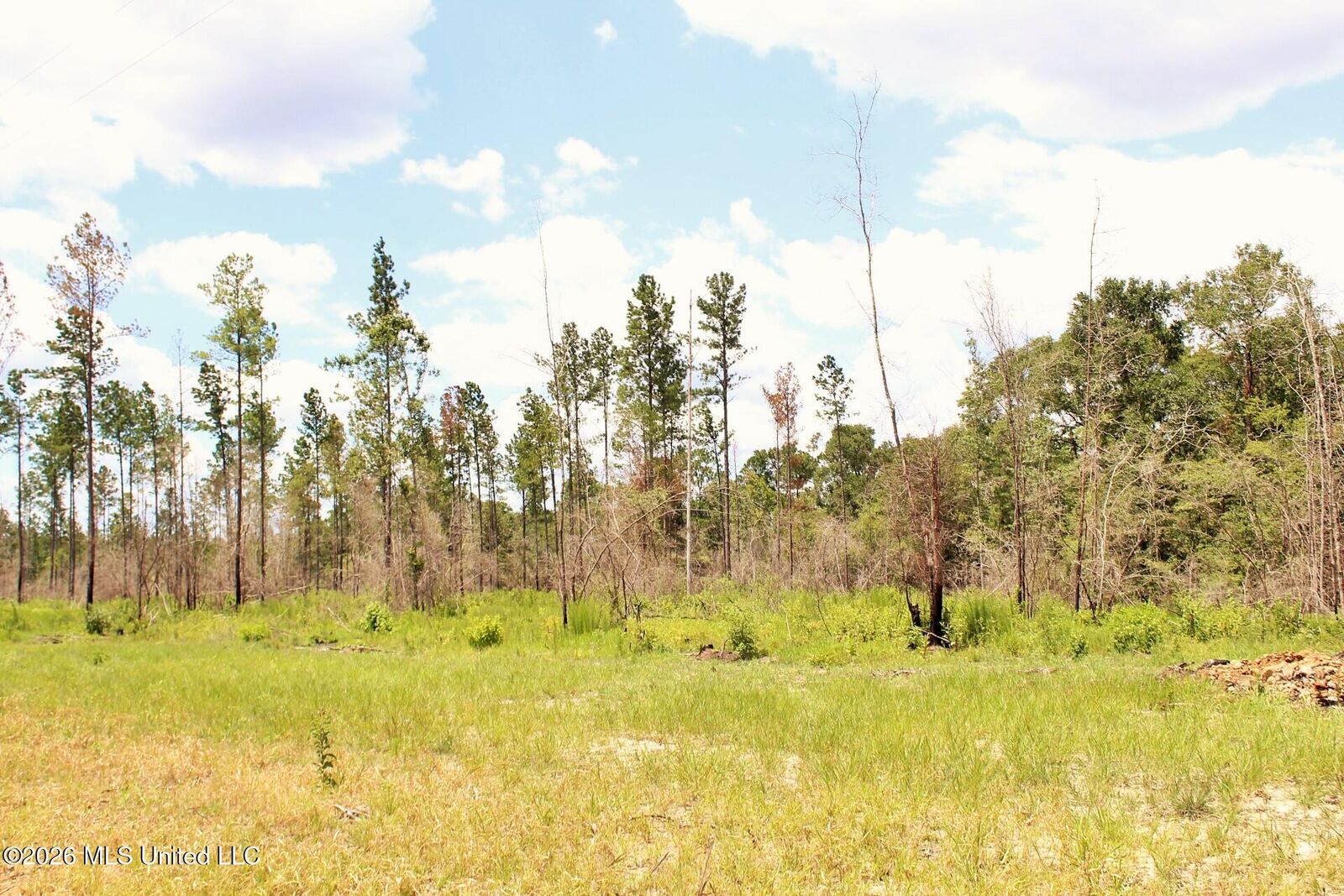 Property Photo:  3.78ac Cottonwood Drive  MS 39452 