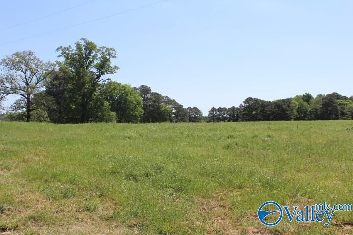 Property Photo:  28.77 Acres Cranford Road  AL 35016 