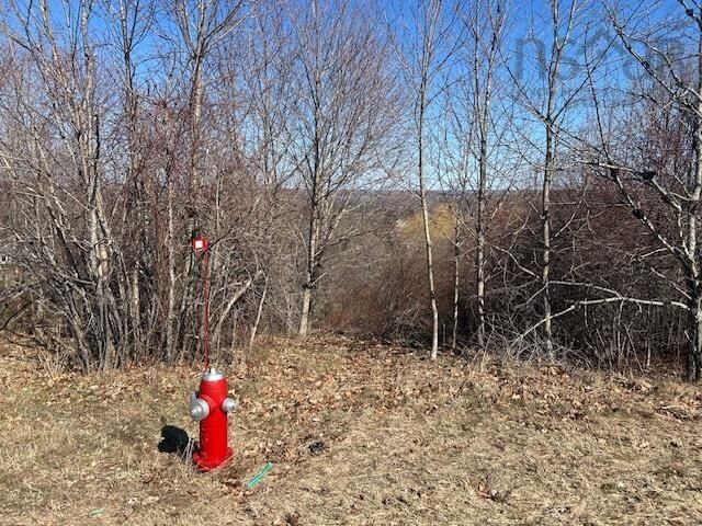 Lot 2 Alder Drive — photo 1