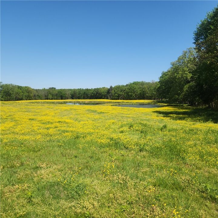 Property Photo:  933 Walnut Road  AR 72843 