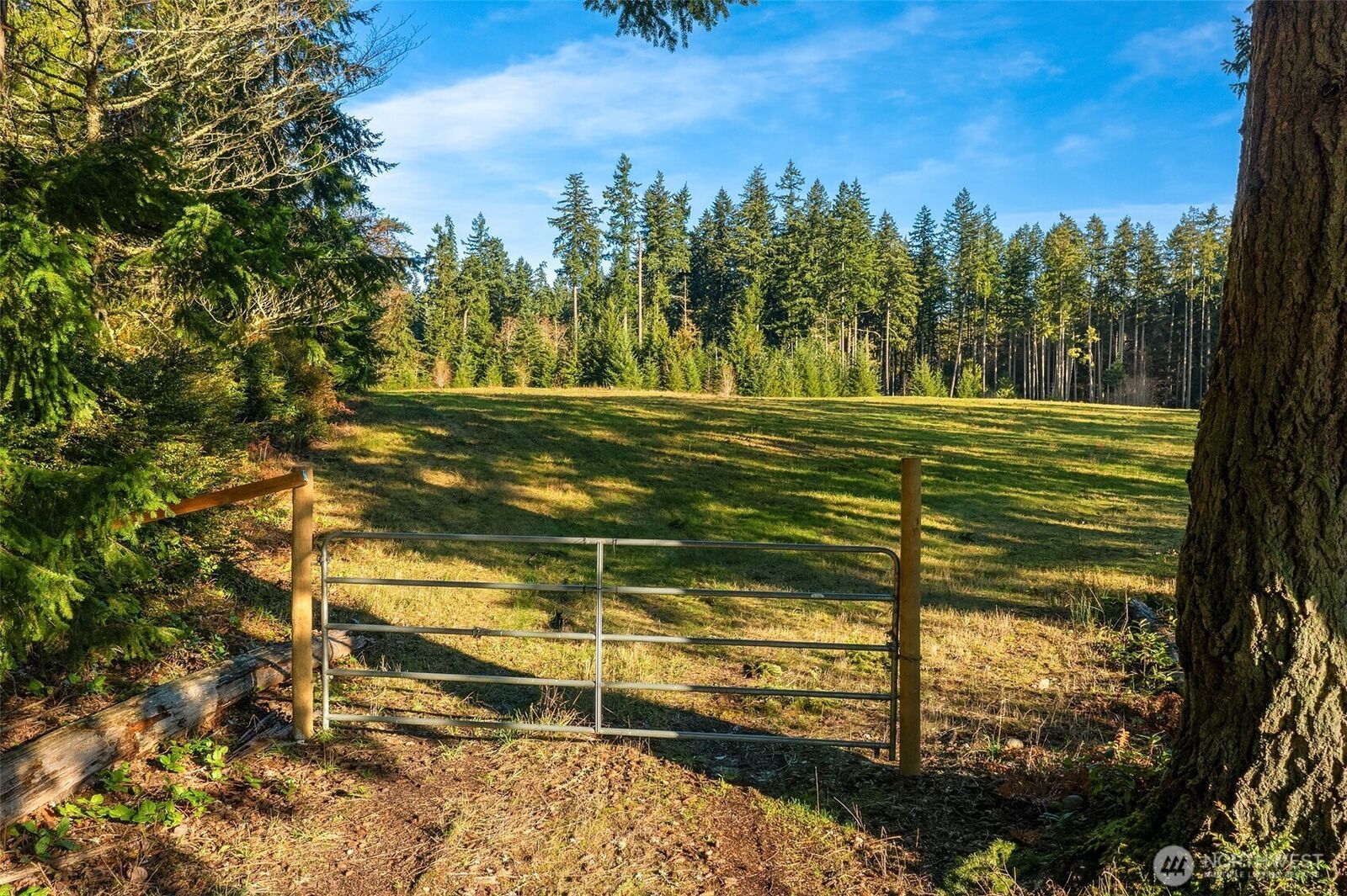 Property Photo:  12302 SW 220th Street  WA 98070 